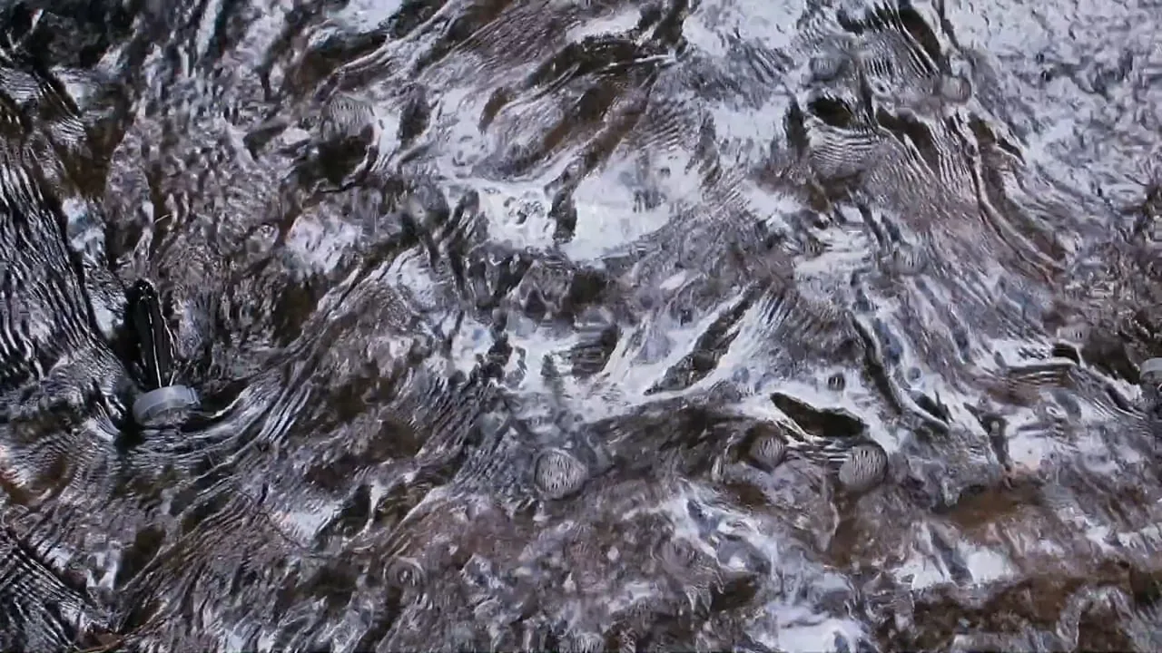 Flux